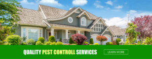 South Texas pest control