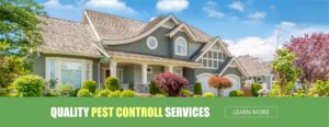 pest control