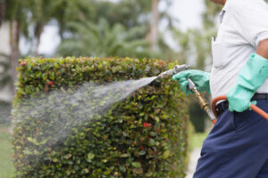 South Texas Exterminators Difference
