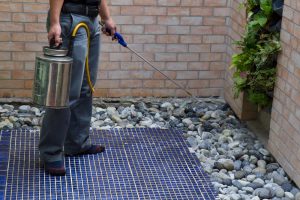 Residential Pest Control Service