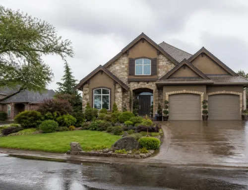 Why the Recent Rain Will Change the Way You Think About Pest Control in Dilley