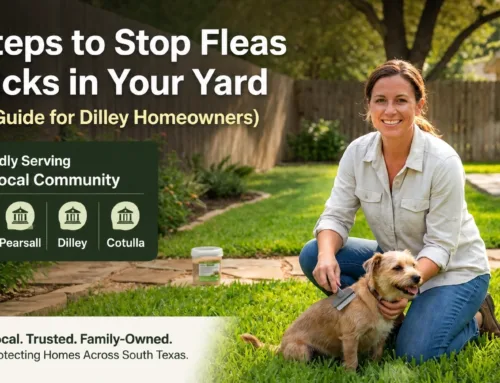 5 Steps to Stop Fleas and Ticks in Your Yard (Easy Guide for Devine, Pearsall, Dilley, and Cotulla Homeowners)